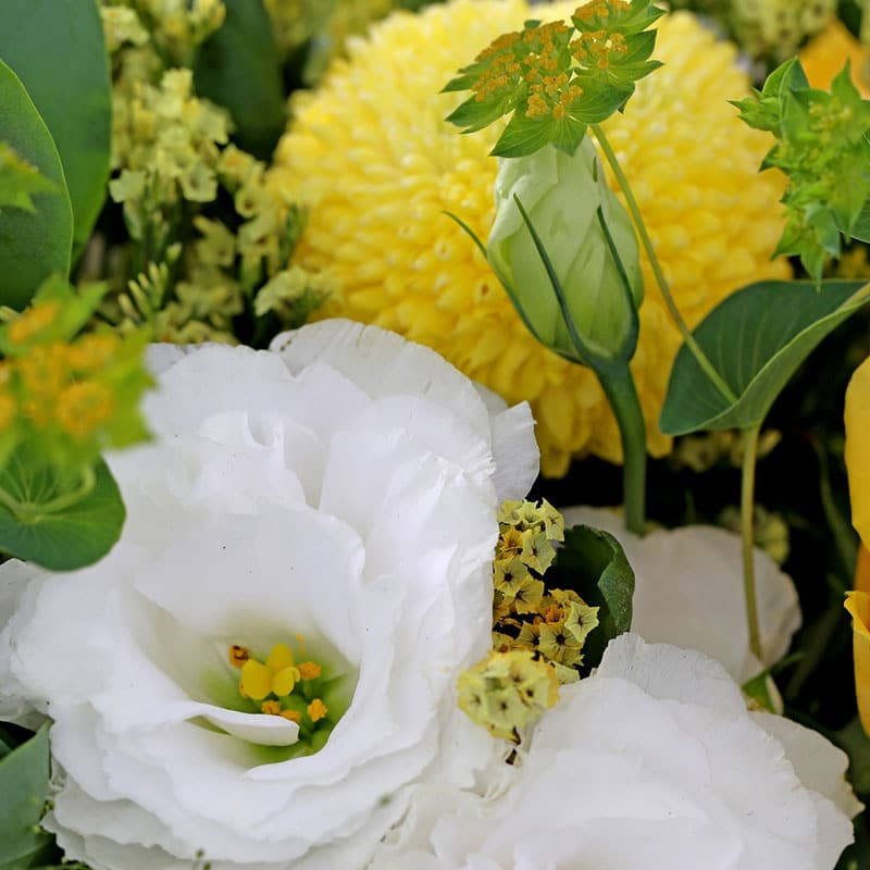 weisse und gelbe Blumen im Blumenstrauss Nahaufnahme, jetzt online verschicken