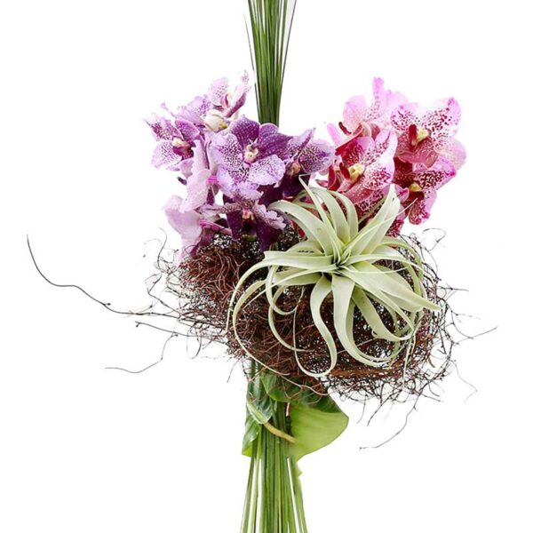 vanda orchideen und tillandsien als bouquet