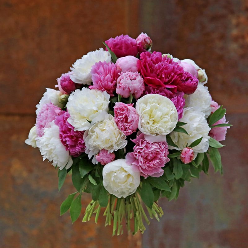 Pfingstrosen-Blumenstrauss-Muttertag bestellen liefern lassen