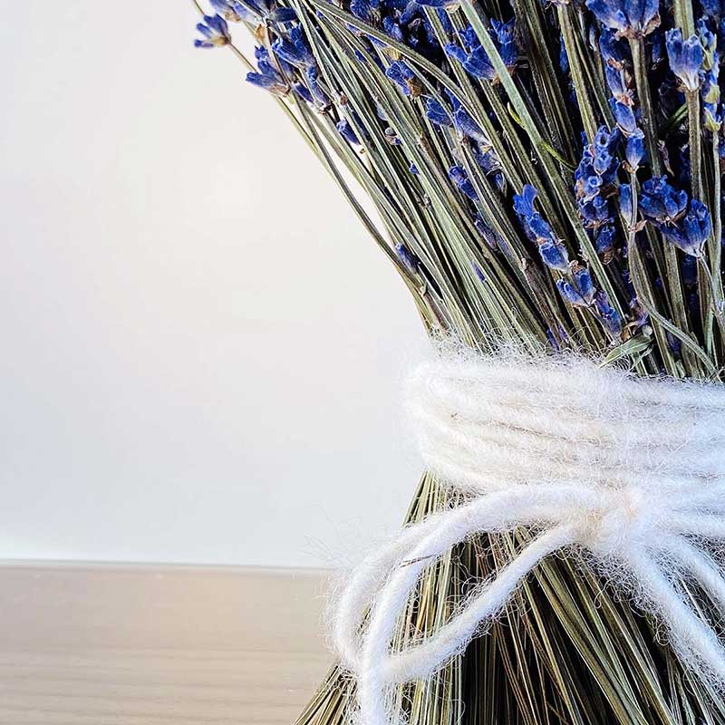 Lavendel_Duft_Dryflowers_lila.jpg